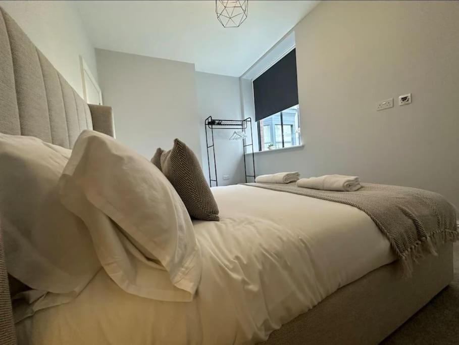 Superior Stay, Sophia Gardens, City Centre And Stadium Sleeps 4 卡迪夫 外观 照片