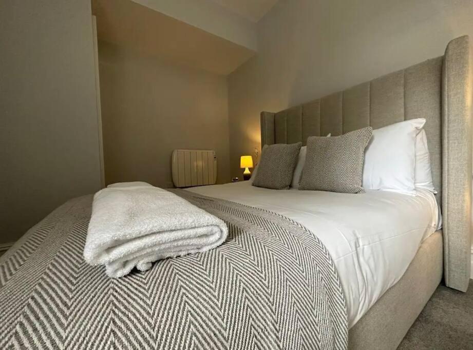 Superior Stay, Sophia Gardens, City Centre And Stadium Sleeps 4 卡迪夫 外观 照片